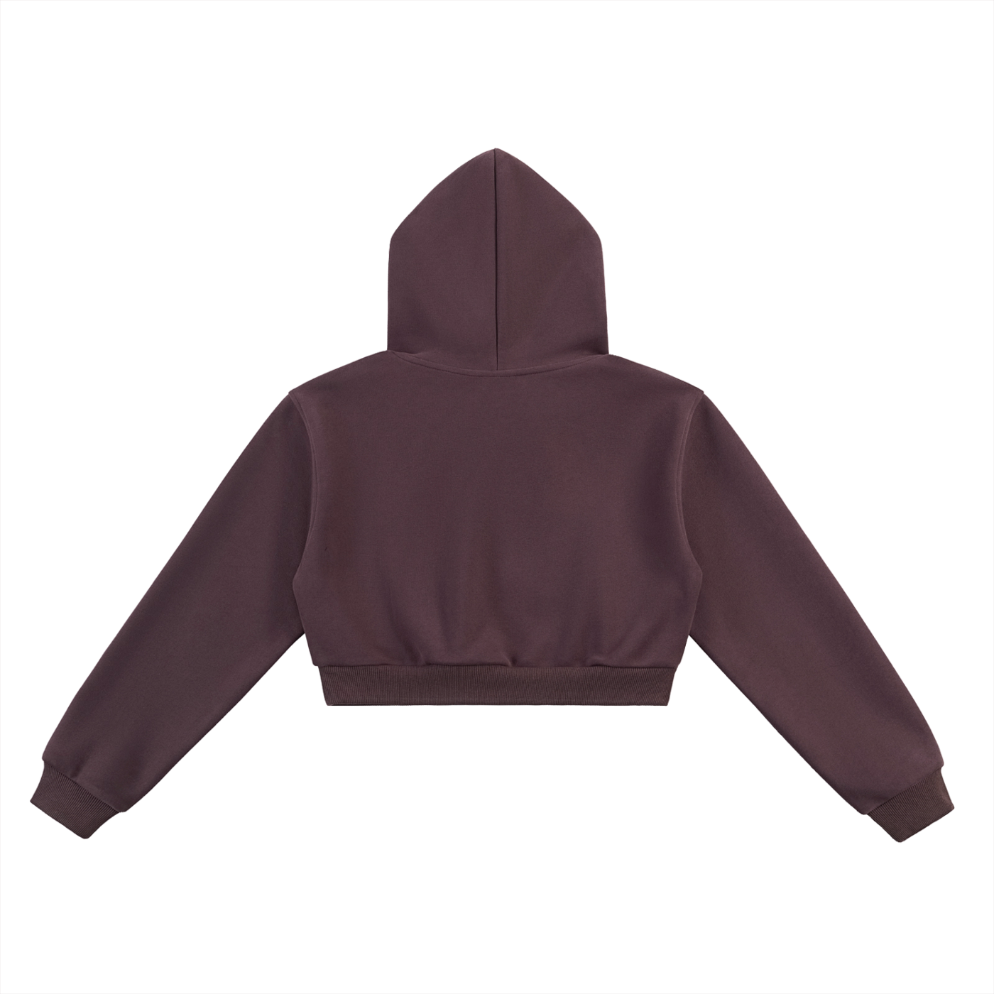 Ztroc Cropped Hoodie