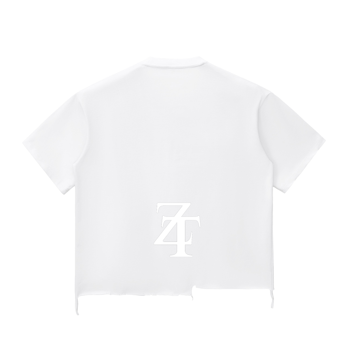 Ztroc Boxy T-shirt - Ztroc